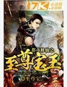 都市修仙之至尊宝玉