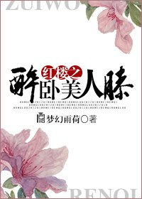 (BL/红楼同人)红楼之醉卧美人膝